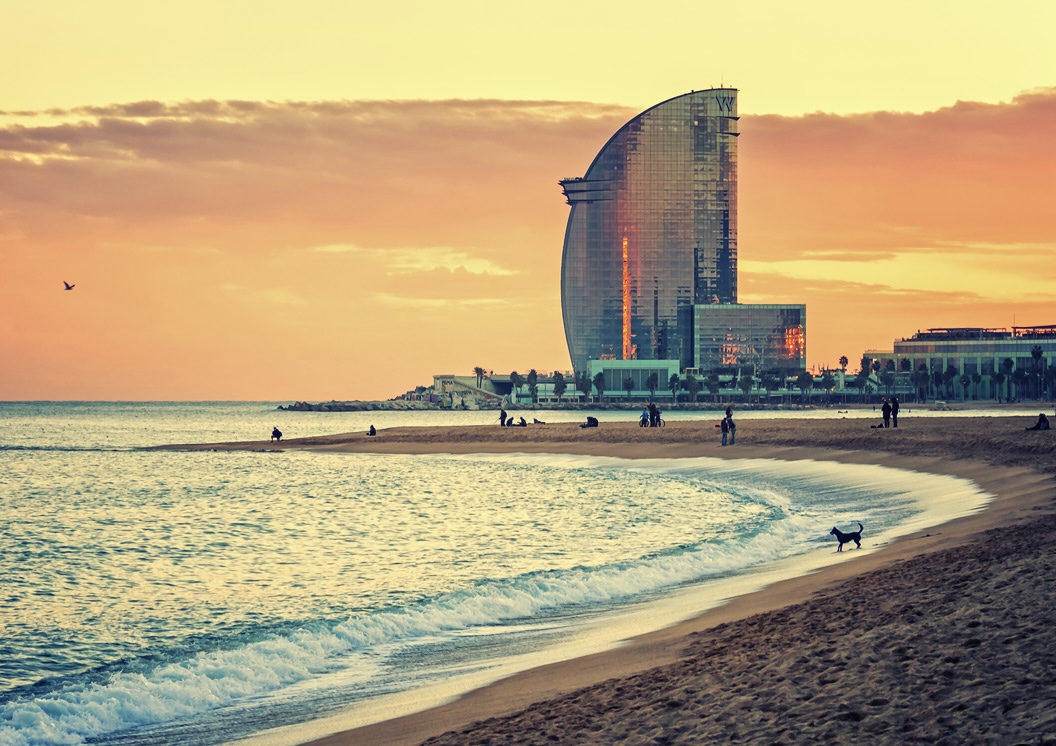 Barceloneta or Bogatell Beach